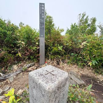山頂ーーー‼︎
ガスっちゃったけれど、

天生湿原がめちゃくちゃ良かったり
木道があって、湿原がとてもきれい✨
きのこ🍄‍🟫も盛りだくさんで山道もいろいろな道がありであきないです。
山頂直下に少し急な登りがあったりと　登り堪えもあってとても楽しいお山😆