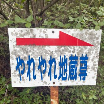 呆れてるの？
