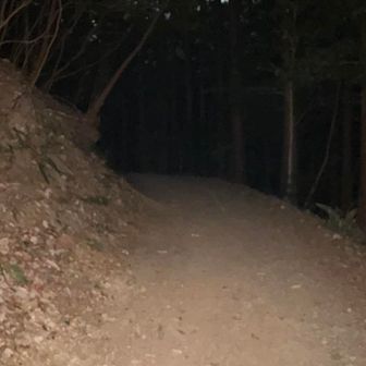 初めての山で暗いうちからのスタートに不安がありましたが、ルートは整備され、危険も無い。迷う事もない。
素晴らしい！