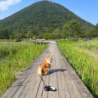 木道と榛名富士🗻