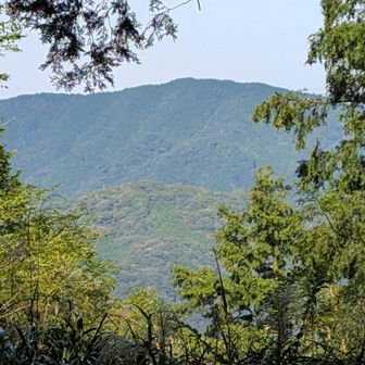 額堂山かな