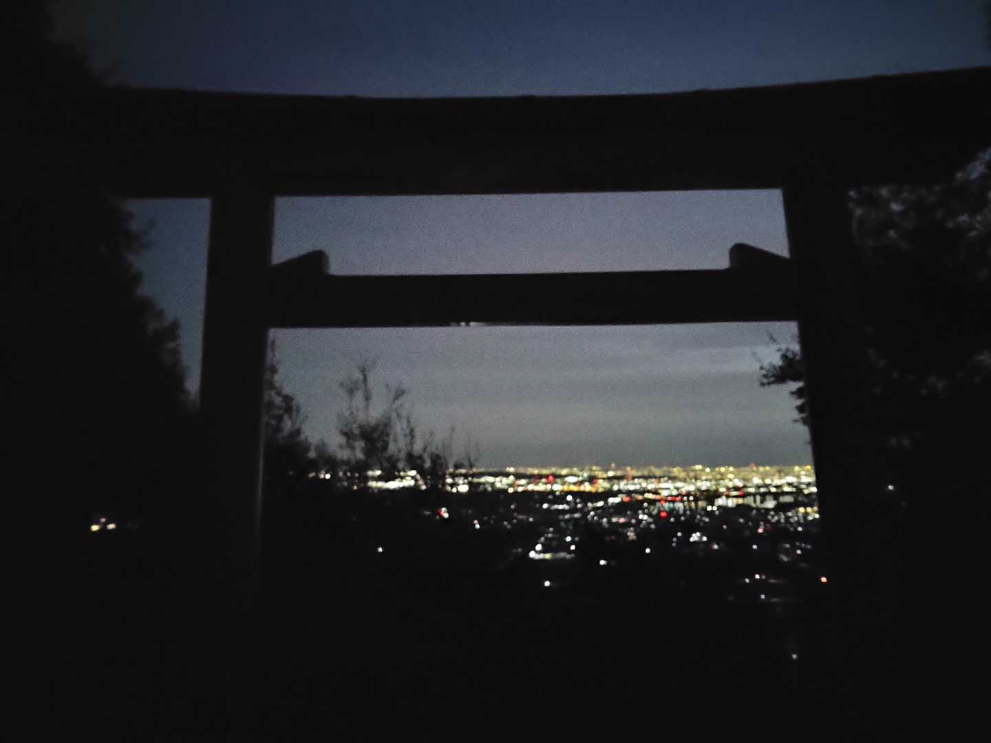 ふれあいの森入口-尾張白山-西山 往復コースの写真