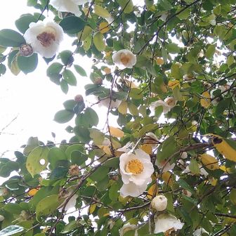 ゆで卵見っけ🍳帰りまーす💨💨💨