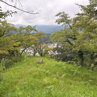 山頂より②
おそらく桜の木。花見シーズンに良さそう。