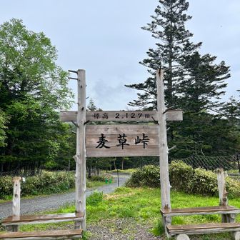 帰って来ました。看板の向こうにクリンソウが咲いてました。