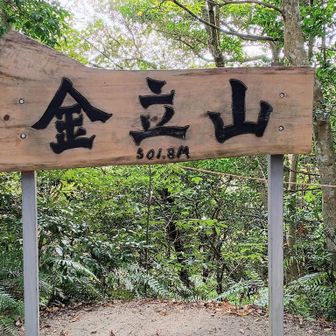 一昨日に続いて今日も山頂へ