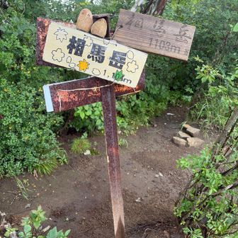 相馬岳到着。石のフクロウさんが２羽とまっていた
