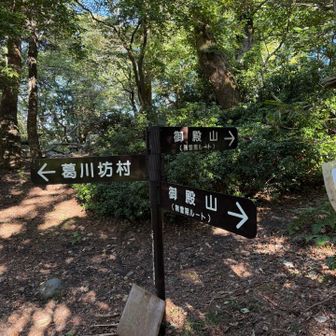 みんなが撮ってたから撮る。