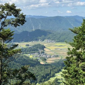 麓の信楽の集落
もうほとんど稲刈りが終わってます🌾