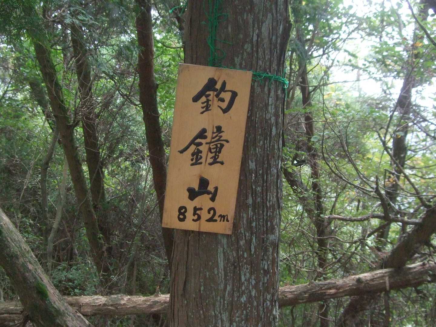 着きました。