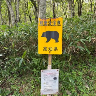 無事下山🐻