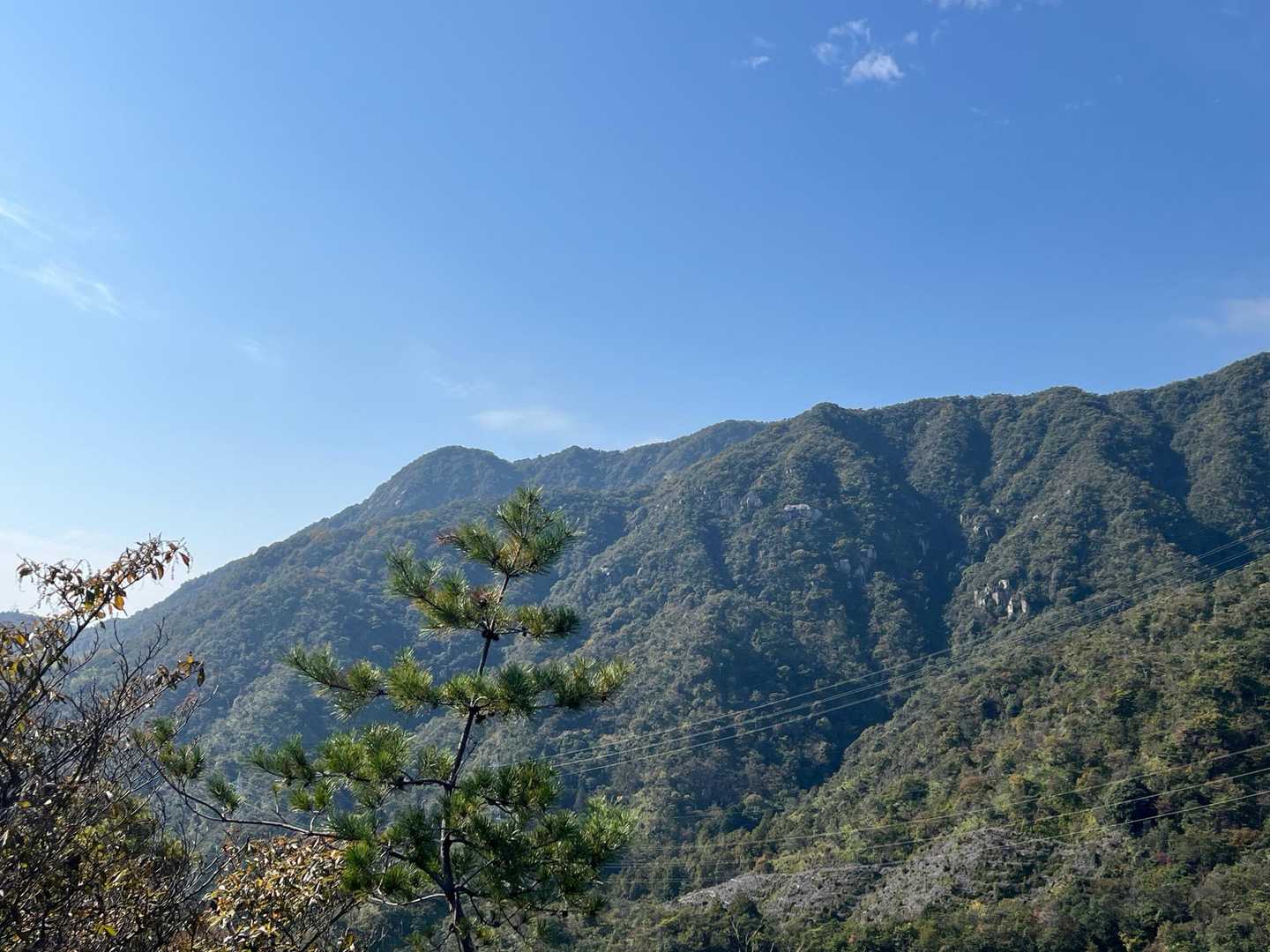 つい何度も撮ってしまう立派な山。
後で調べたら
大鉢山東峰535m〜笛吹山596mのよう