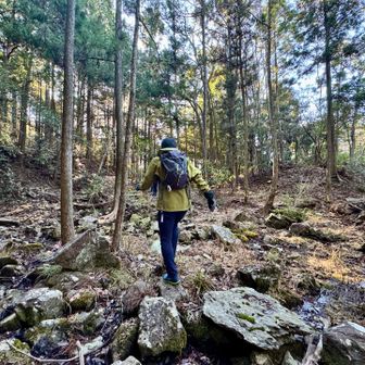 寄り道していきます