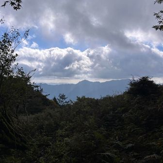 風が吹くと寒いくらい🥶