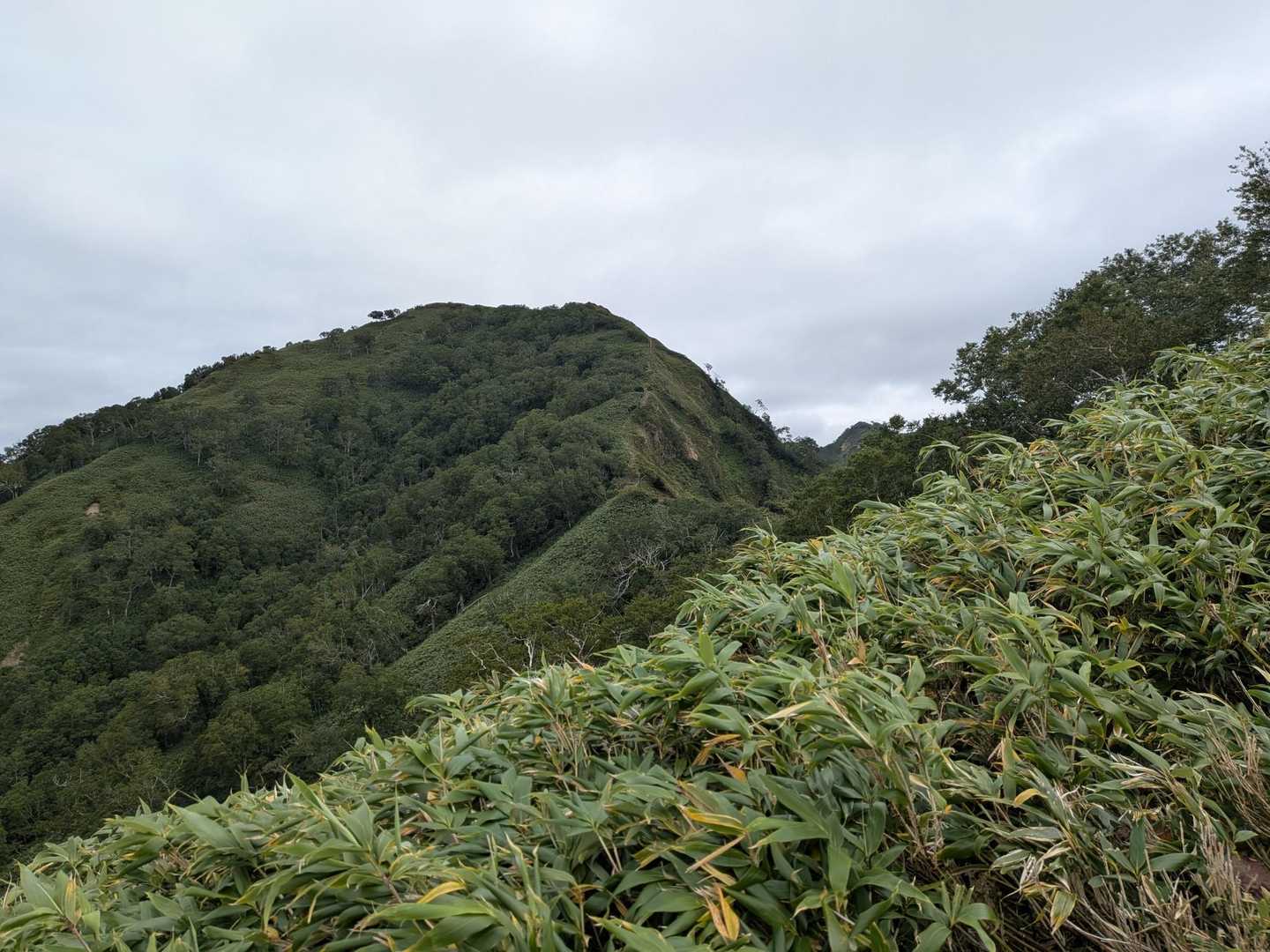 Bコース登山口-神居尻山 往復コースの写真
