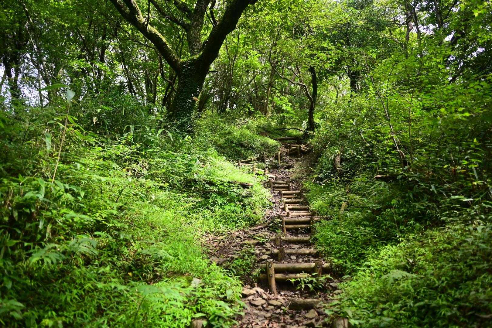 御前岳登山口-御前岳-釈迦岳-釈迦岳-矢部越登山口 縦走コースの写真