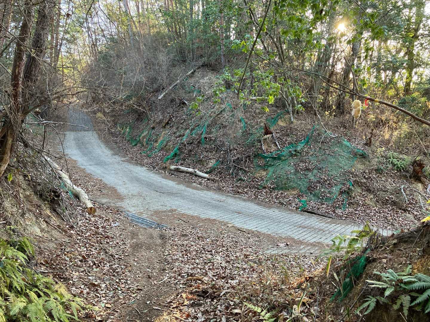 ああ、舗装路…