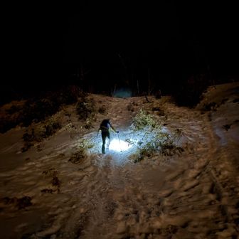 到着時は雨、みぞれが降っていたので30分仮眠して出発。
暗闇の中聞こえる動物（多分フクロウ）の声が怖かった😅
後で調べたらアオバズク🦉の鳴き声みたい