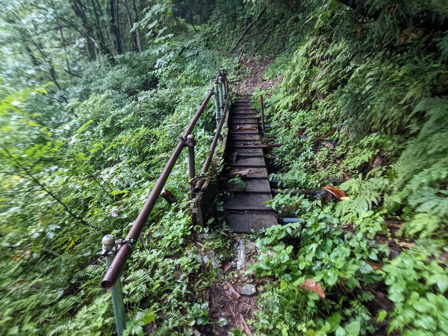 爼倉山登山口-爼倉山 往復コースの写真