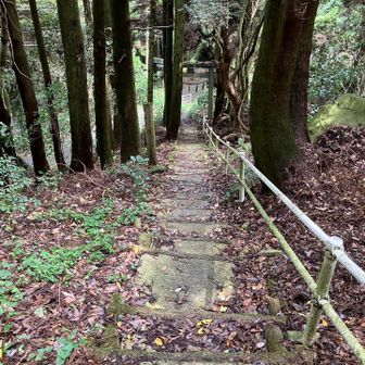 神社からの下りです、