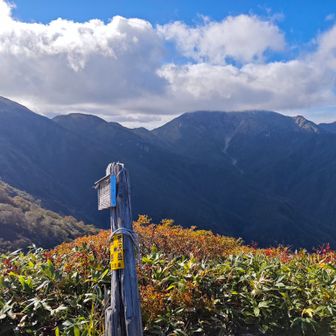 日中、中ノ岳山頂はずっと雲に隠れていた