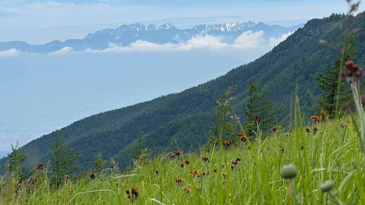 美ヶ原（王ヶ頭）、高原散歩 の写真 5