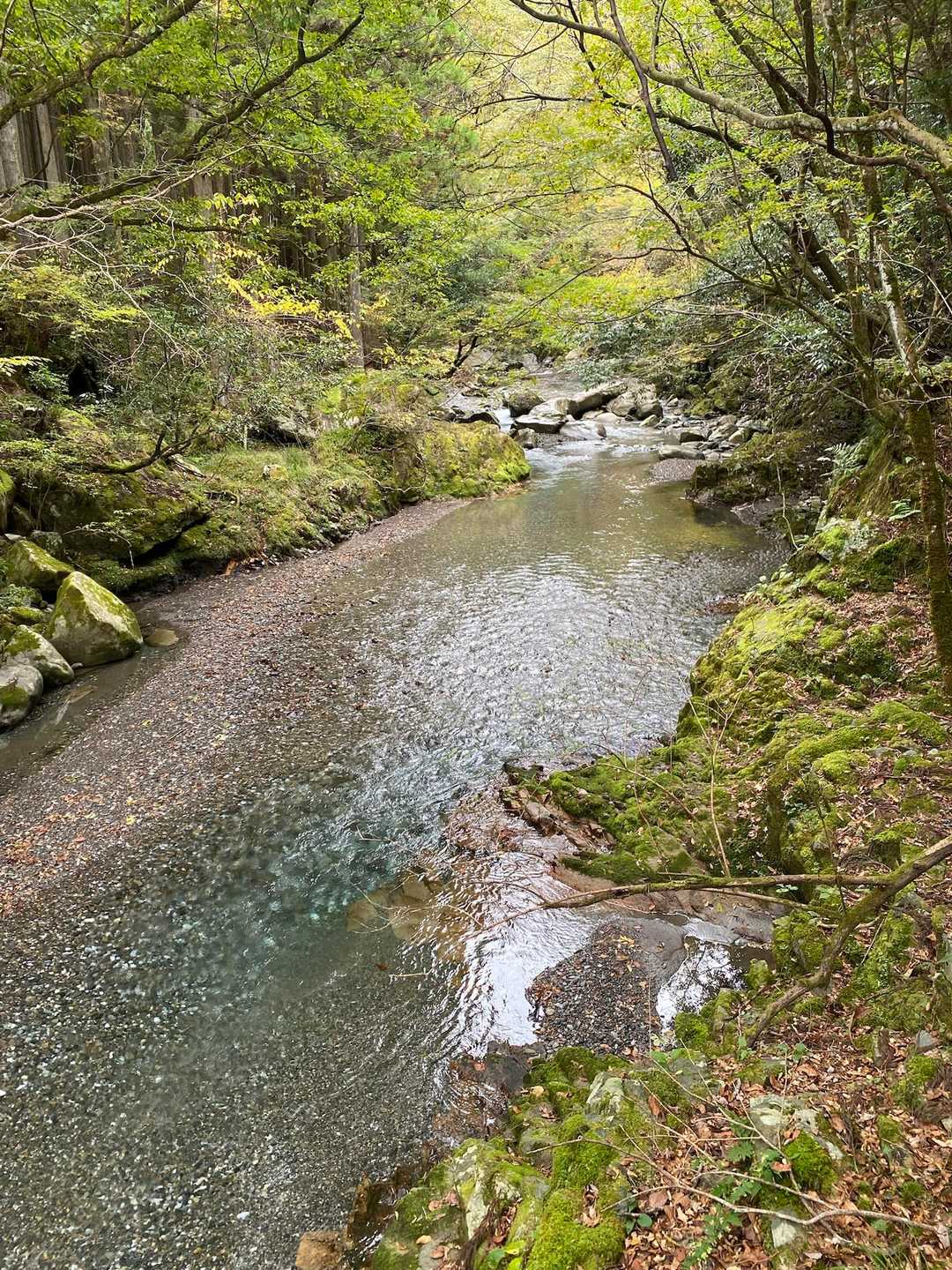 透明度半端ねー！