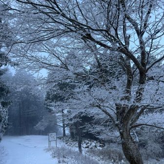 ケーブル乗り場方面へ
