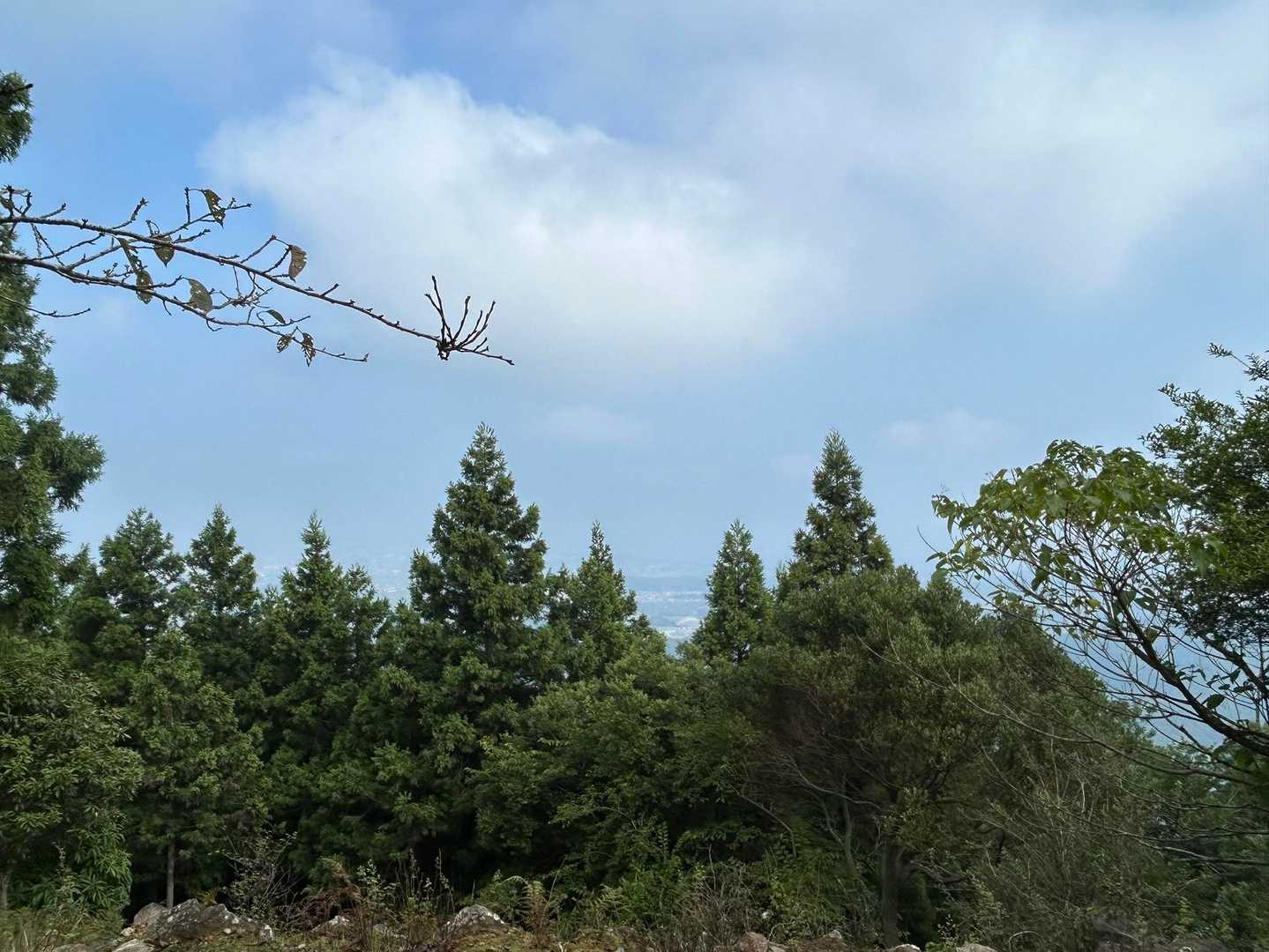 朝熊山-朝熊峠-朝熊ヶ岳 往復コースの写真