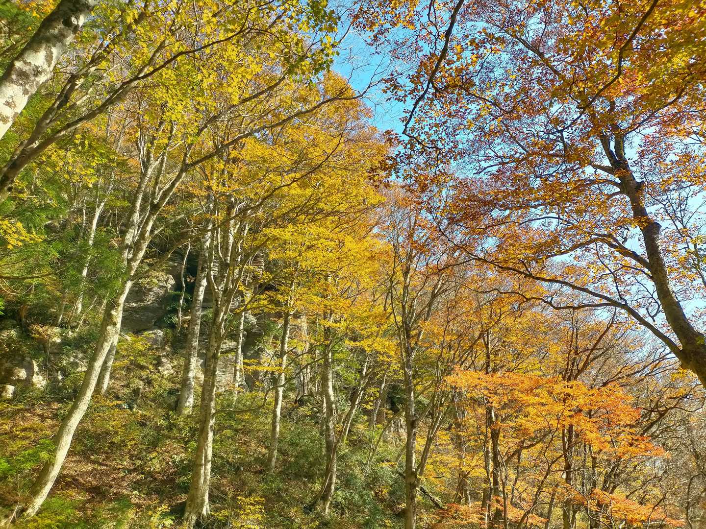 三徳山 往復コースの写真