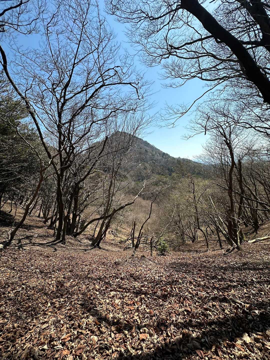 あそこの山から来たんだよ