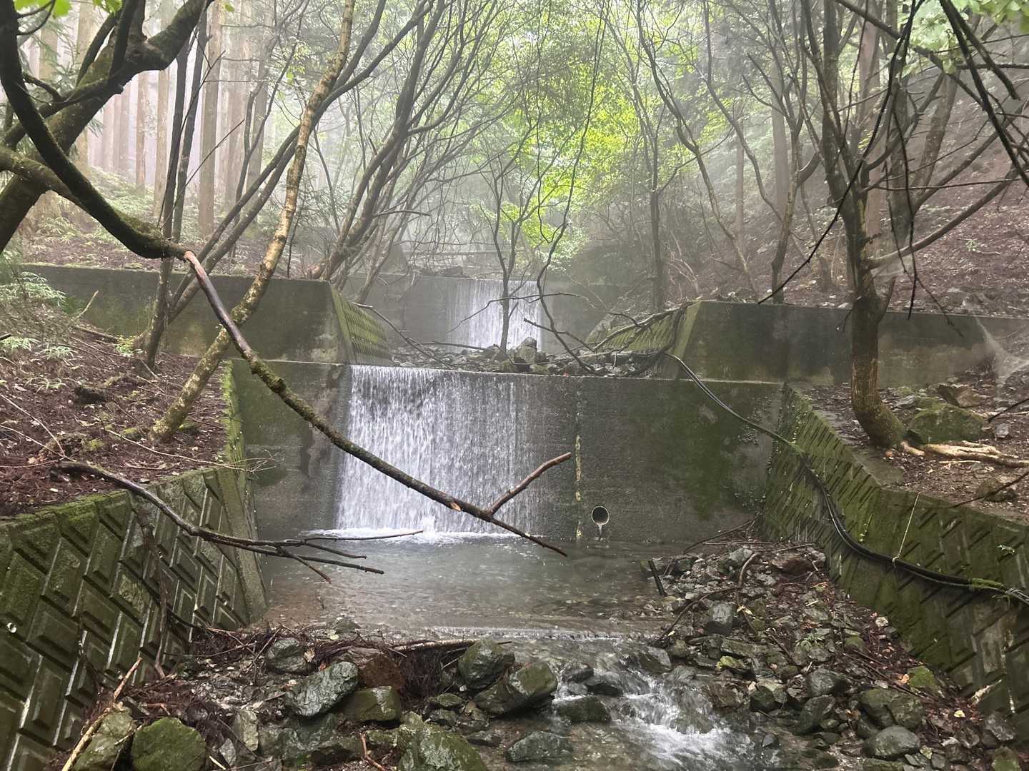 武甲山 周回コースの写真