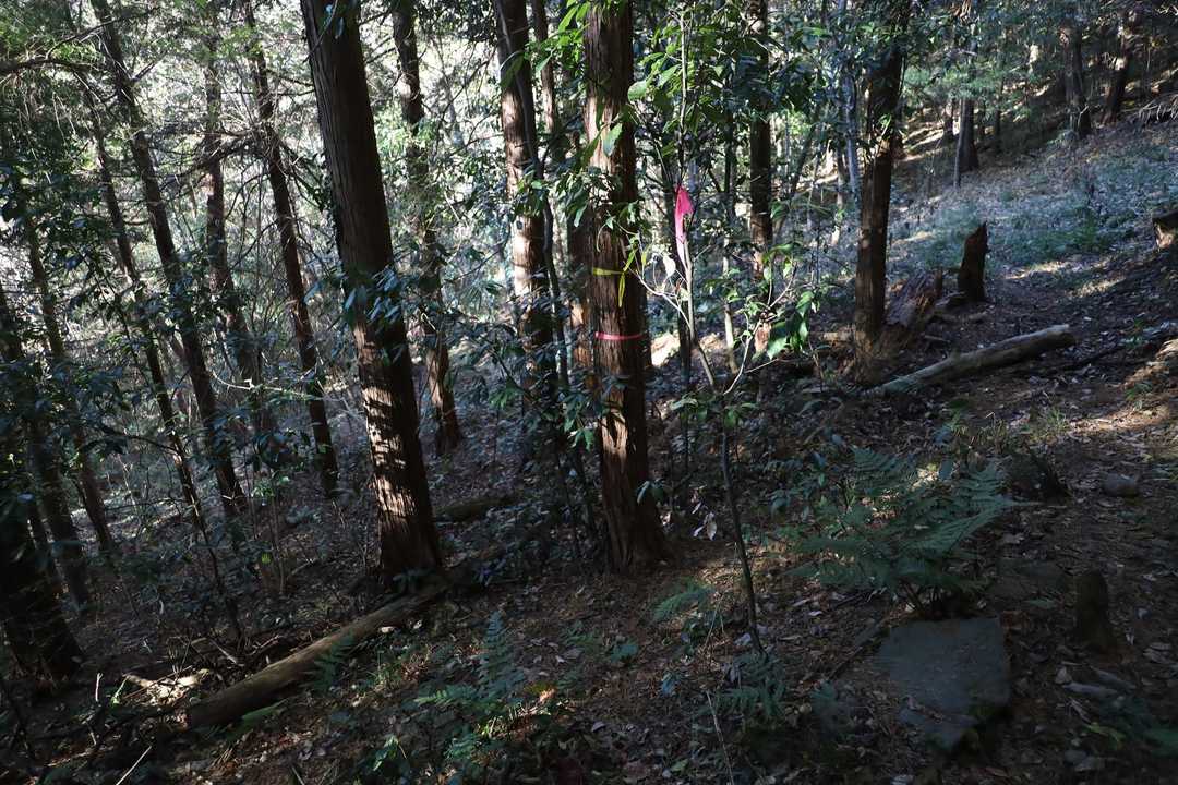 ピンテで曲がる