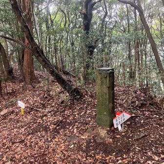 裏参道に合流　時間がないので裏参を降りるのは止めて、このまま津乃峰山頂を目指します