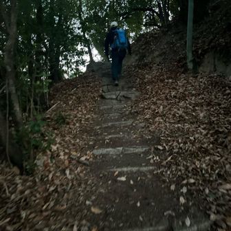 かなり薄暗いけど、ギリまだ行ける！最後のひと踏ん張り〜💪