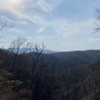 そのうちまたお会いしましょう⛰️
その日までお元気で✨