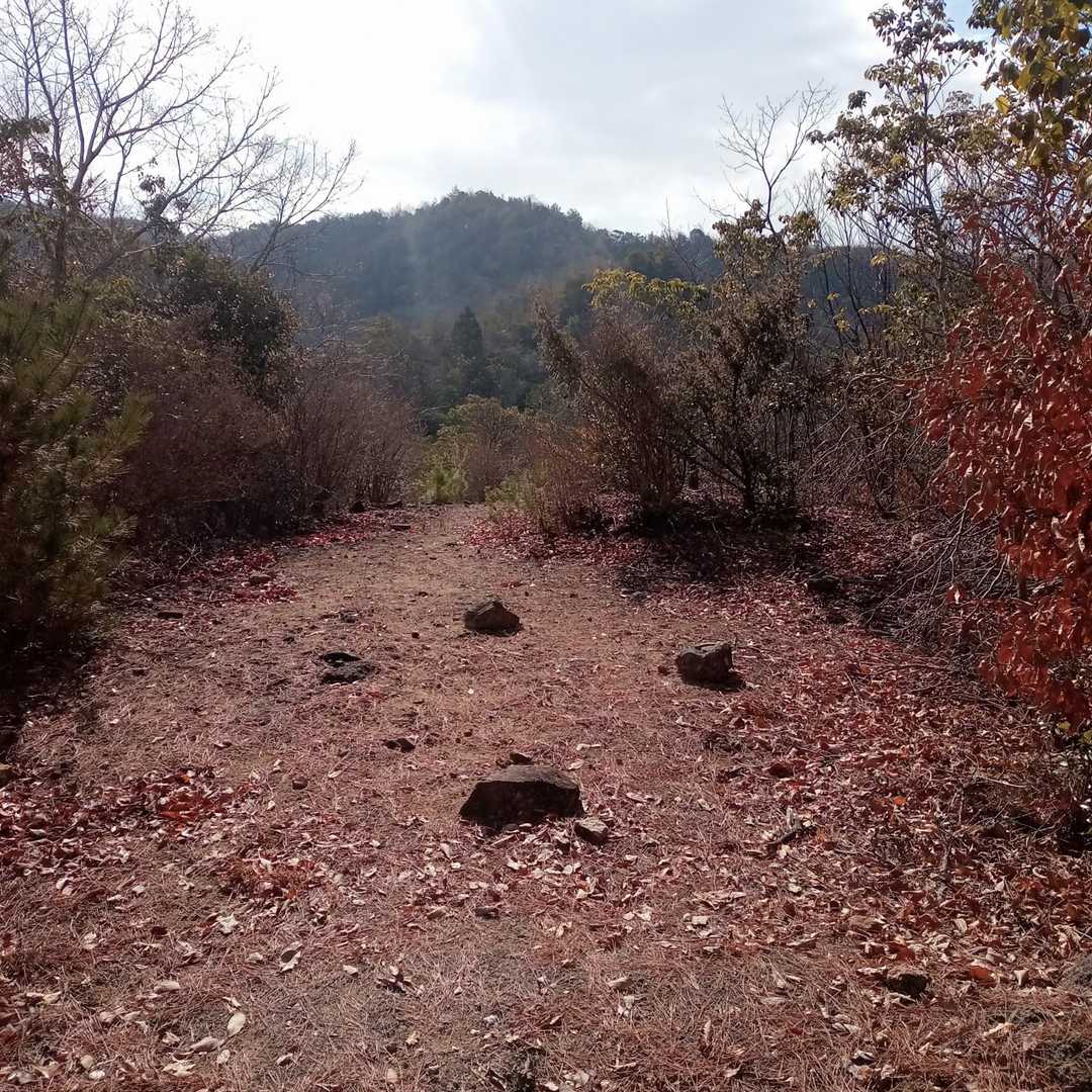 光景寺山のピークは目印も何もないか🤔