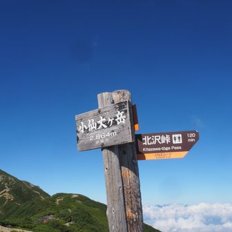 頑張ってくだります
