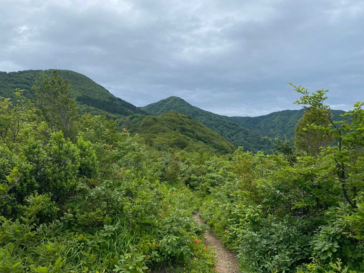 北丈競山-丈競山-浄法寺山-冠岳 周回コースの写真