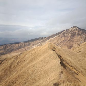ヘリがまだ旋回してる🚁