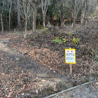 ショートカットルート立入禁止区域、下段側🚧