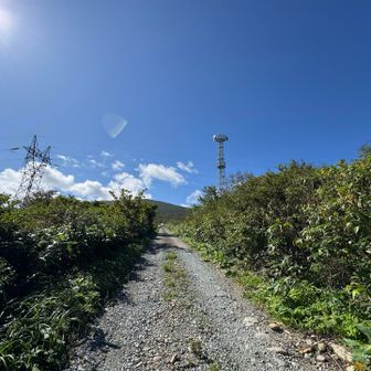 間違いに気づいたけど、直進した先でも合流できるみたいなので、そのまま進みます😓
