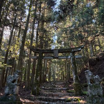 ここから国見山ピストンは標準タイムで約150分
👹軍曹に明日会山行があるので、行けるかと確認したけど愚問だった🥲