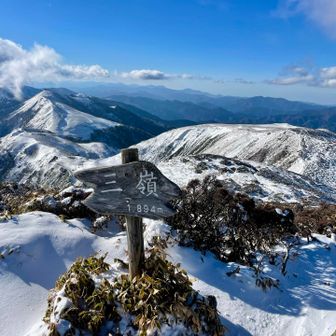 ヒーヒー泣きながら辿り着いた三嶺🏔️
狙ってませんが三嶺は二百名山ですね