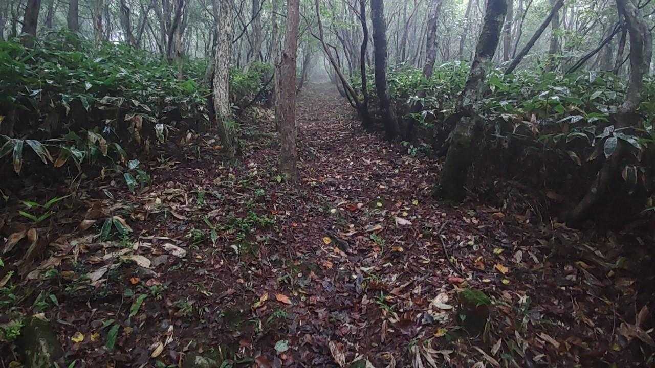 夏焼峠-砥石郷山 往復コースの写真