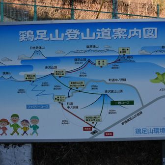 登山口に戻ってきました。地図がリニューアルされています。