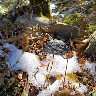 先週の寒波で積もった雪が残ってます