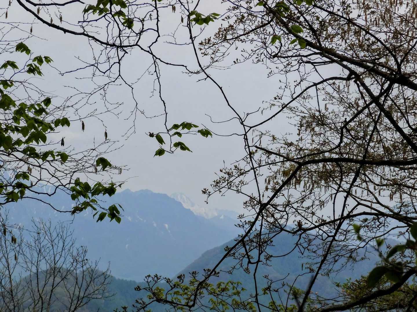 戸隠連山。白い頂は妙高山
