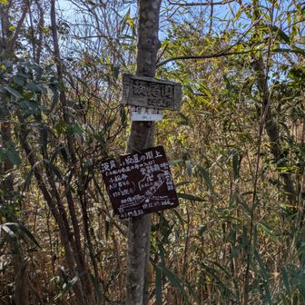 ごくたまにある案内板
地元ハイカーさんに地図がないと道迷いするから気をつけて、と…
ほんと、確認しすぎて途中で携帯充電する