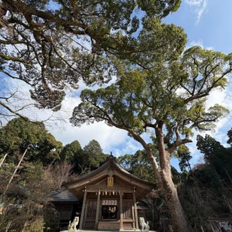 最後に竈門神社でお参りです。